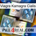 Viagra Kamagra Cialis viagra5